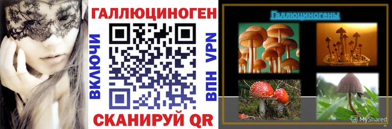 купить наркотики цена KRAKEN ссылки Псилоцибиновые грибы мухоморы Черногорск